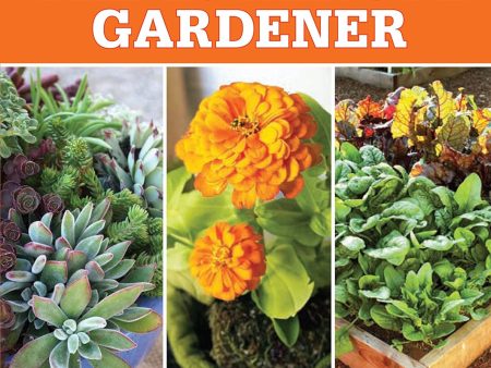 Western Garden Book: The 20-Minute Gardener: Projects, Plants and Designs for Quick & Easy Gardening (The Editors of Sunset) Cheap