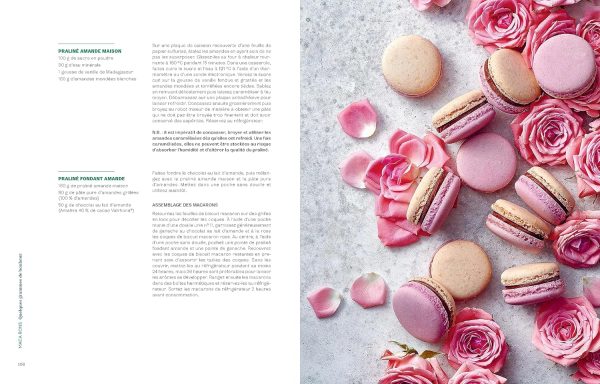 La Pâtisserie Végétale de Pierre Hermé (Pierre Hermé, Linda Vongdara) Online now