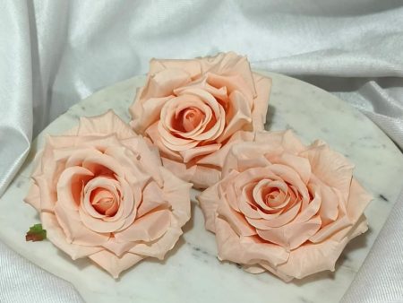 Big Peach Rose 5480B Discount