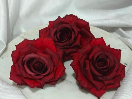 Big Red Rose 5408B Discount