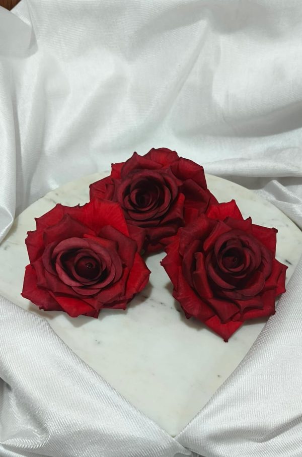 Big Red Rose 5408B Discount