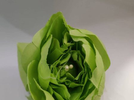 Big size Peony Flowers Green

Size 3 inchs Online Sale