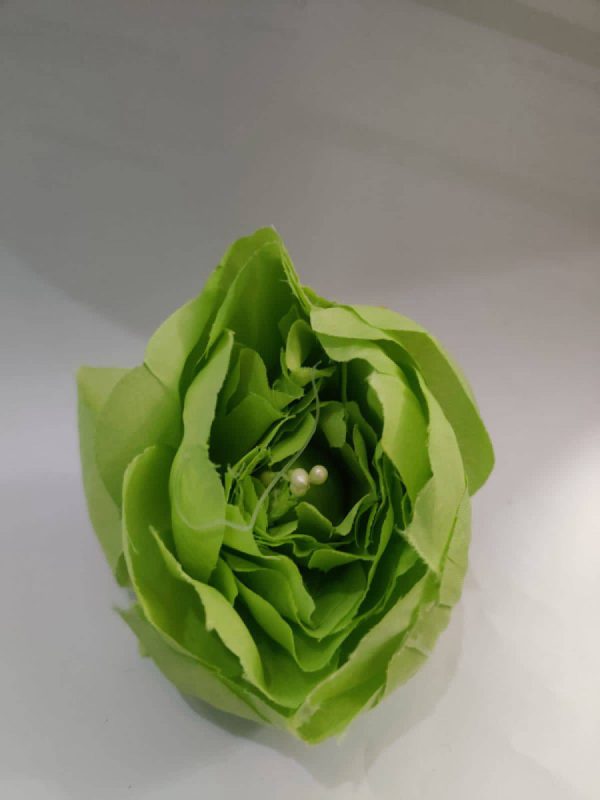 Big size Peony Flowers Green

Size 3 inchs Online Sale