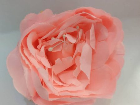 Big size Peony Flowers Pink

Size 3 inchs Fashion