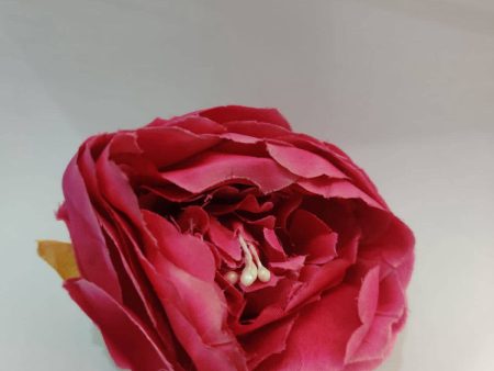 Big size Peony Flowers

Size 3 inchs Hot on Sale