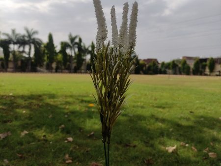 artificial White Liriope Grass Cheap