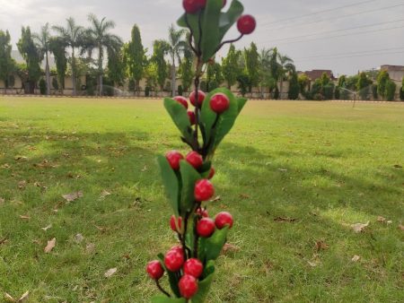 Red Cherry Stem For Cheap