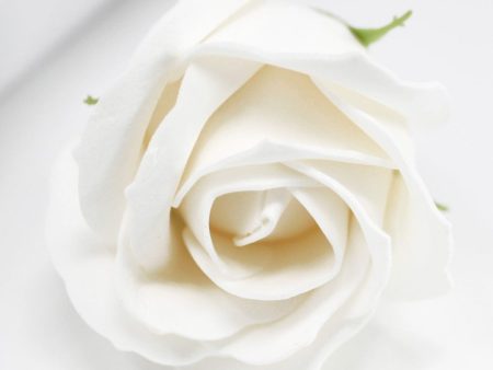 Artificial scented white Rose Flower on Sale