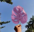 White large tropical pointed leaf on Sale