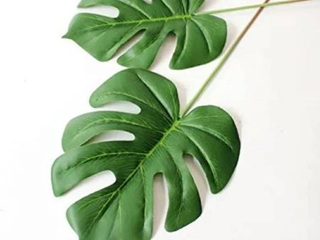 Palm Tree leaves For Cheap