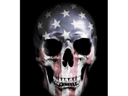 American Skull  by Nicklas Gustafsson, Giclee Canvas Wall Art For Cheap