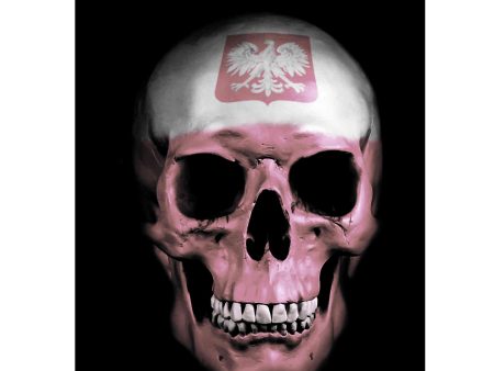 Polish Skull  by Nicklas Gustafsson, Giclee Canvas Wall Art Hot on Sale