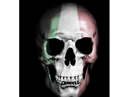 Italian Skull  by Nicklas Gustafsson, Giclee Canvas Wall Art Online now