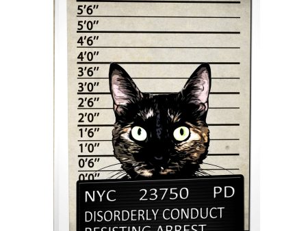 Kitty Mugshot  by Nicklas Gustafsson, Giclee Canvas Wall Art Online now