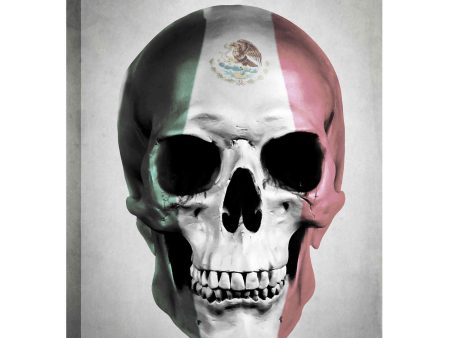 Mexican Skull Grey  by Nicklas Gustafsson, Giclee Canvas Wall Art For Discount