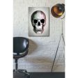 Italian Skull Grey  by Nicklas Gustafsson, Giclee Canvas Wall Art on Sale